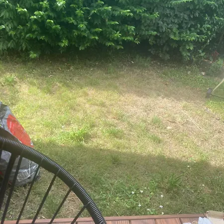 Jaune Sympa Et Verte